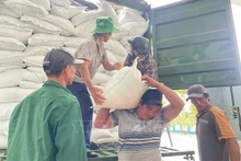 越南铁路公司免费运送1.5万件救灾物资驰援中部以南地区。（图片来源：越通社）