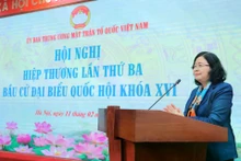 越南祖国阵线中央委员会主席、国家选举委员会副主席裴氏明怀在会议上发表讲话。