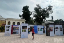 代表们参观“越南文化遗产——从传统到现代的生命力”专题展。