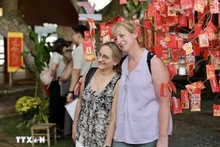 胡志明市春节旅游市场“开门红”：服务提质升级，游客量显著增长【视频】