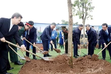 越共中央总书记苏林出席“世世代代铭记胡志明主席功勋”植树节启动仪式。