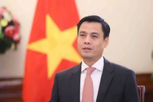 越南外交部副部长邓黄江。(图片来源:越通社)