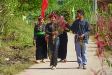 越南极少数民族多分布在条件艰难的山区和边远地区。