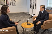 新加坡李光耀公共政策学院教授武明姜（右）接受采访。（图片来源：越通社）