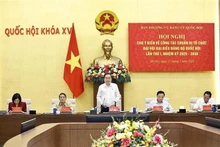 会议由越共中央政治局委员、国会党委书记、国会主席陈青敏主持。