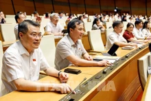 越南国会以461票赞成(占国会代表总数的96.44%)通过了关于2025年省级行政区划调整的决议。