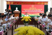 政府副总理裴青山与庆和省领导就宁顺核电项目推进情况举行工作会议。