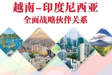 建交70周年：越南-印度尼西亚全面战略伙伴关系【图表新闻】