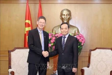 中央政策战略委员会主任陈流光会见AES（越南）公司董事长。