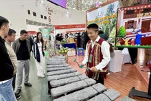 参观者在同奈省旅游展位欣赏石琴演奏。