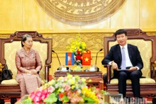 宁平省委书记陈辉俊（右）与柬埔寨祖国发展团结阵线国家委员会主席梅森安。（图片来源：越通社）