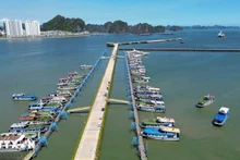 广宁省下龙湾所有旅游船将于8月15日前完成船舶自动识别系统安装。