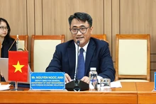 越南财政部对外经济与债务管理局副局长阮玉英。