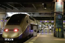 越法深化铁路领域交流与合作。（图片来源：越通社）