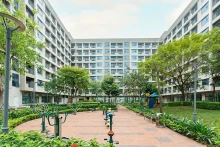 附图：北宁省安丰保障性住房区。