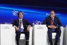 越南政府副总理裴青山出席2025年'俄罗斯能源周'国际论坛。