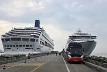“海之安可号”和“钢琴乐园号”两艘游轮“冲年喜”下龙湾。