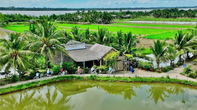 芹耶县盛安岛乡天连(Thiềng Liềng)村注重发展生态旅游。 th3.jpg