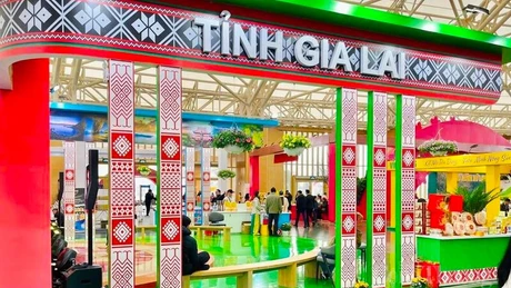 嘉莱省展区。（图片来源：越通社）