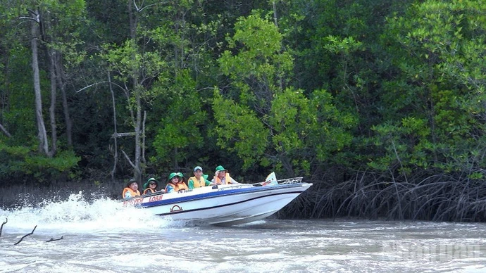 游客在金瓯角国家公园体验穿越红树林生态之旅。