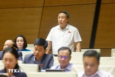 广治省国会代表何士同发表讲话。（图片来源：越通社）