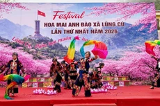 龙鼓乡2026年樱花节开幕。