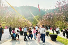 春节假期旅游客流的增长，为年初以来连续出现的积极信号再添动力。