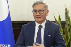 老挝外交部长通沙万•丰威汉接受越通社记者的采访。（图片来源：越通社）