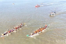 同奈河上精彩刺激的赛艇比赛【组图】