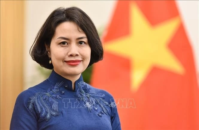 越南驻芬兰兼驻爱沙尼亚特命全权大使范氏清平。（图片来源：越通社）