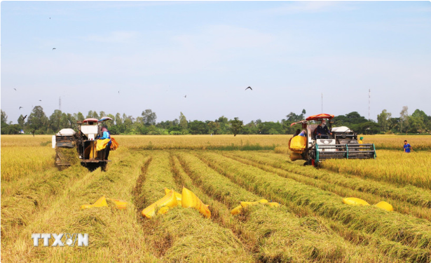 突破性的政策以及紧迫的实施节奏给民众带来了对新生活质量的诸多期望