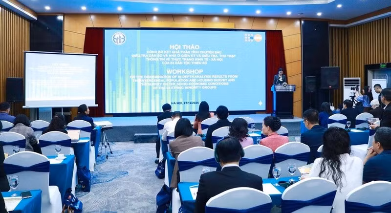 越南统计总局与联合国人口基金（UNFPA）联合举办研讨会。