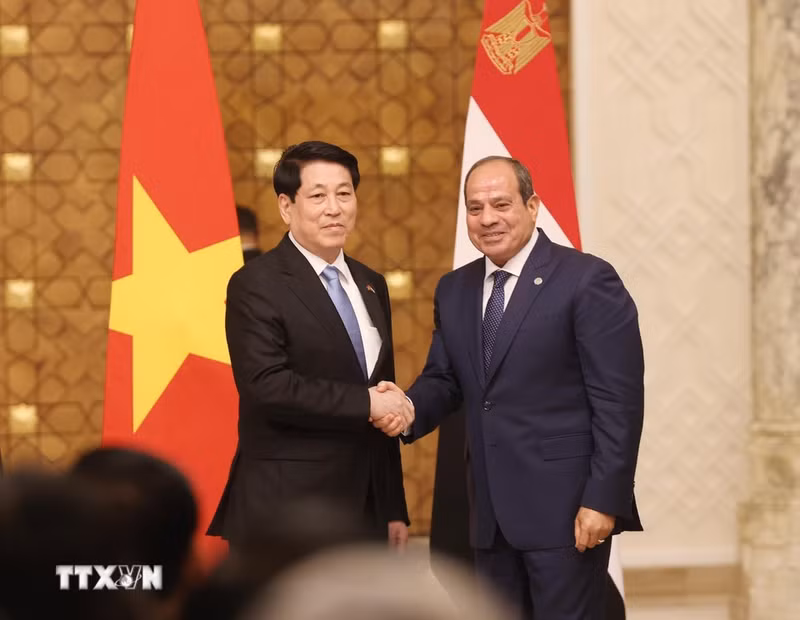 越南国家主席梁强和埃及总统阿卜杜勒·法塔赫·塞西。