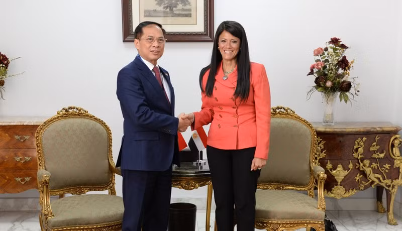 越南政府副总理、外交部长裴青山和埃及规划、经济发展和国际合作部部长、越埃联合委员会埃方主席拉尼娅·阿尔玛莎特。