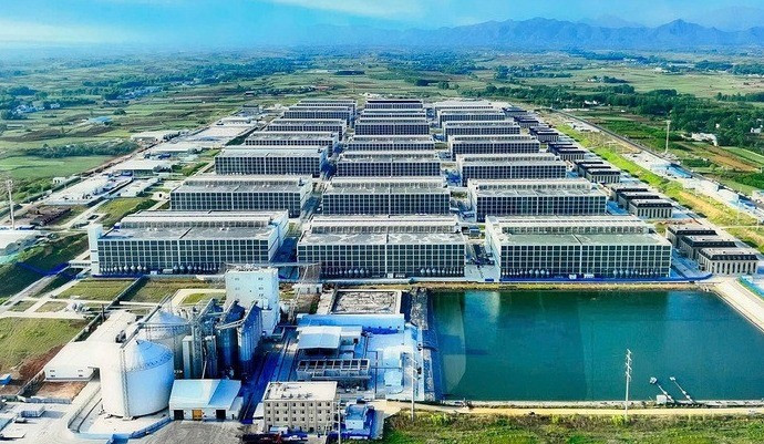 越南农业与环境部建议开展多层楼房养猪模式。