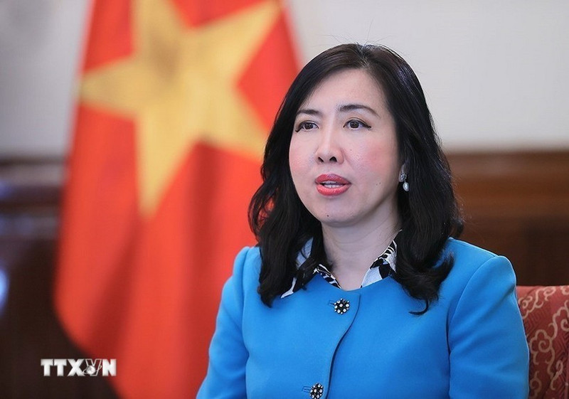 越南外交部副部长黎氏秋姮。（图片来源：越通社）