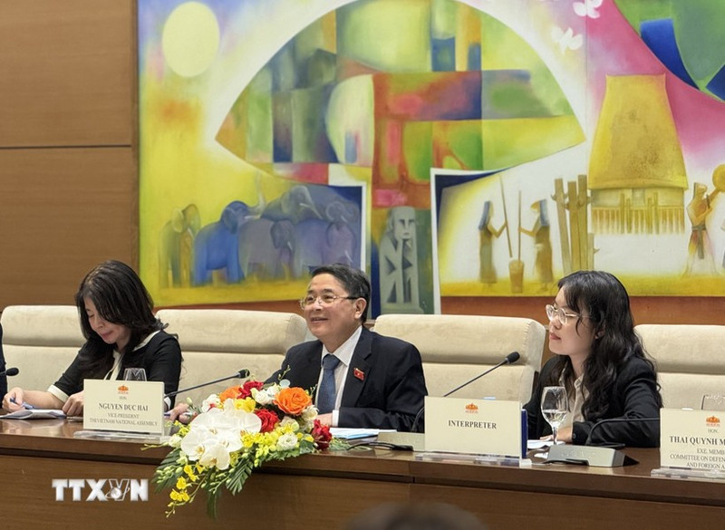 国会副主席阮德海在会上发言。