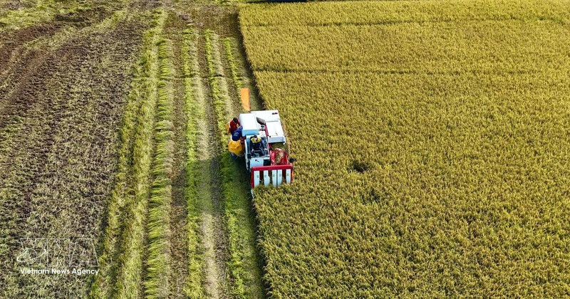 安江省进行出口模式转型。