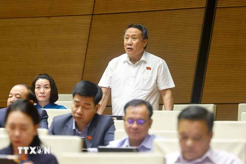 广治省国会代表何士同发表讲话。（图片来源：越通社）