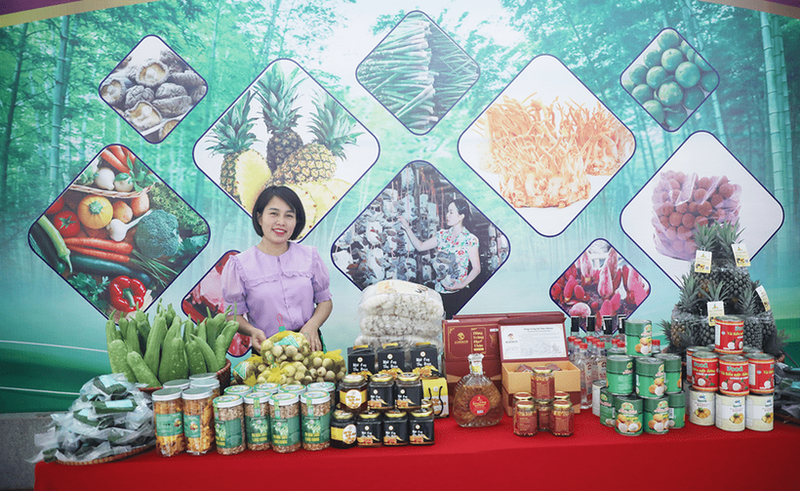 北宁省“一乡一品”产品。