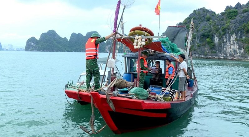 鸿基（Hòn Gai）港口岸边防哨所协同开展检查，处理在下龙湾非法从事水产捕捞活动的船只。
