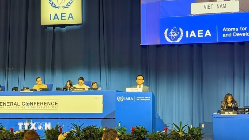 越南常驻奥地利维也纳联合国和其他国际组织代表团团长武黎太黄大使在会上发言。