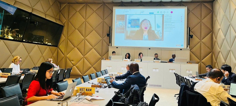 越南常驻日内瓦代表团官员现场参会，工贸部进出口局代表通过线上方式与会。