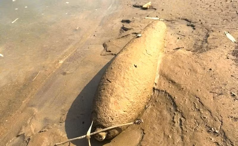 宣光省军事指挥部与地方政府及职能部门配合，成功迁移并安全销毁了一枚战后残留炸弹。