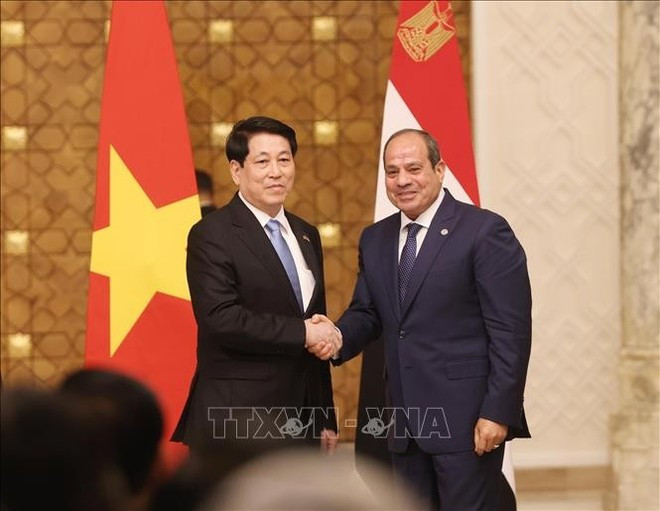 越南国家主席梁强与埃及总统塞西。(图片来源:越通社) luongcuong2.jpg