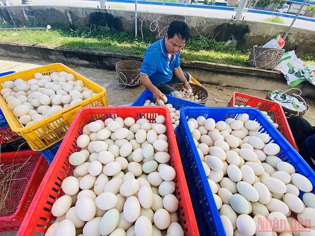 城市中心的“游牧”生活（组图） ảnh 8