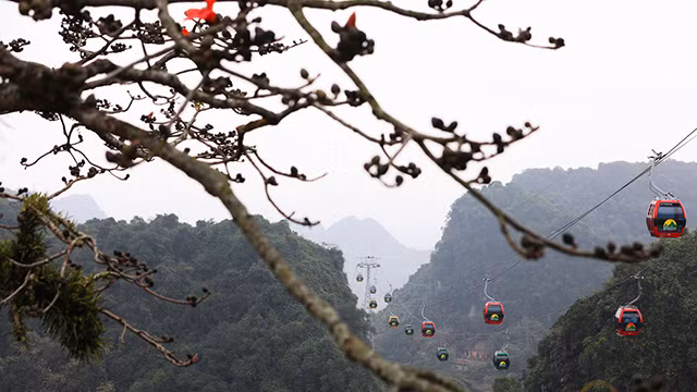 木棉花绽放季节（组图） ảnh 6