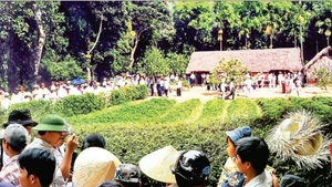 踏步在春色之中