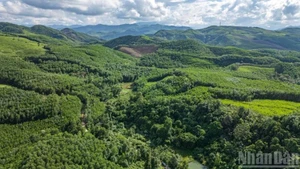 加快建设和运营碳信用市场