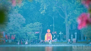 1月19日天气：全国迎来晴朗温暖天气，喜迎越南共产党第十四次全国代表大会开幕